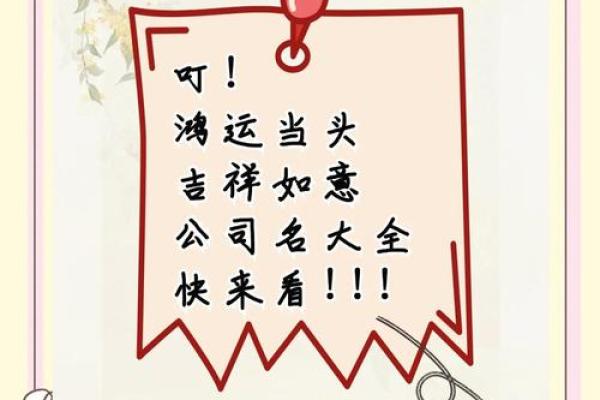 公司名字的寓意(鸿源公司名字的寓意)