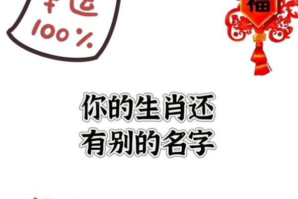 属猪女孩最吉利的名字(属猪女孩最吉利的名字推荐)