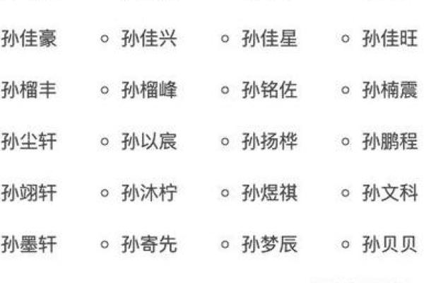 孙起名字大全男孩(孙起名字大全男孩霸气名字)