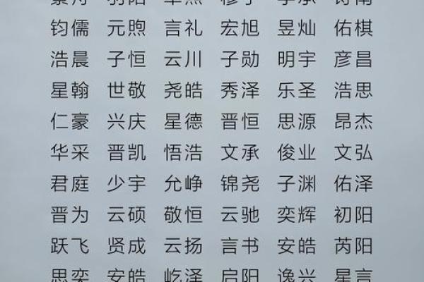 最好听男孩名字排行榜(好听的男孩名字排行榜)