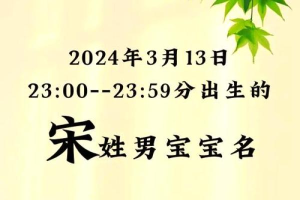 宋姓取名字大全男孩(宋姓取名字大全男孩属兔)