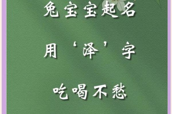 公司起名带泽字的名字(泽字公司名字最佳搭配)