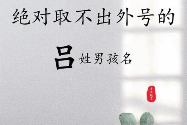 吕起名字女孩三个字(吕取名字大全女孩)