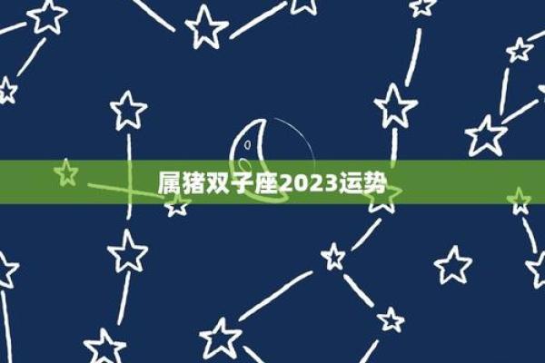 双子座属猪女2024年运势(双子属猪女2021年9月运势) 双子座属猪女2024年运势(双子属猪女2021年9月运势)