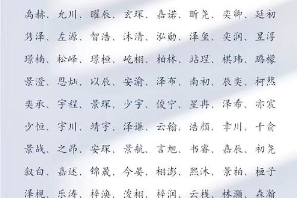 简单大气的男孩名(简单大气的男孩名字带火)
