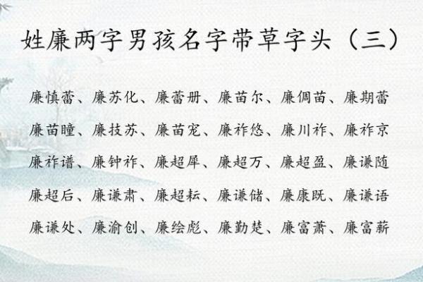 草字头洋气男孩名字大全(草字头洋气男孩名字大全三个字)