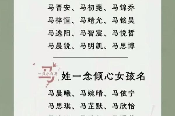 2023年兔宝宝取名字大全女孩(2023年兔宝宝什么时辰出生好)