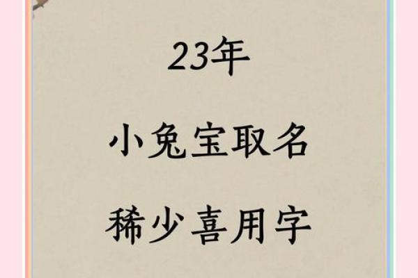 2023年兔宝宝取名字大全女孩(2023年兔宝宝什么时辰出生好)