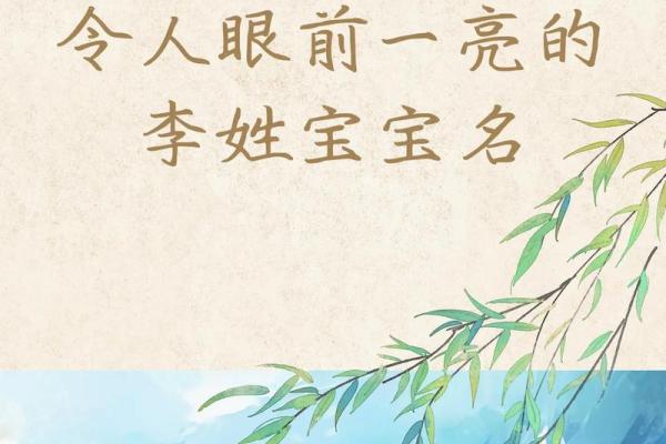 李姓氏取名字大全男孩(姓氏李取什么名字好)