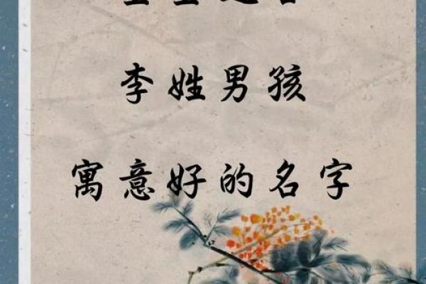 李姓氏取名字大全男孩(姓氏李取什么名字好)
