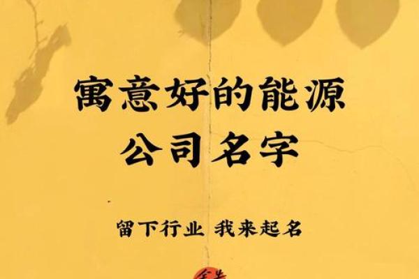 能源贸易公司名字(能源有限公司起名)