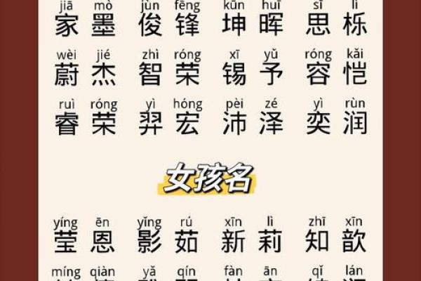 易经取名男孩(易经取名男孩龙宝宝名字)