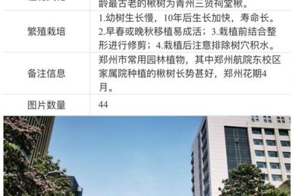 好听的苗木公司名称(有创意的苗木公司名称)
