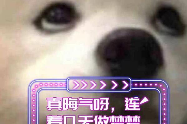 梦见前男友他会有感应吗(做梦梦见前男友他会有感应吗)
