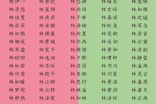 取姓名女孩名字大全免费(取姓名男孩名字大全免费)