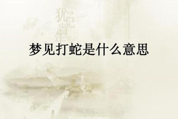 梦见丢东西是什么意思(梦见丢东西是什么意思女性)