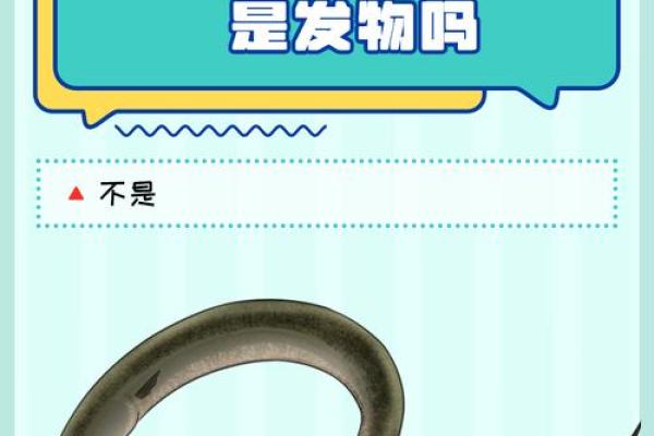 梦见黄鳝是什么预兆(梦见黄鳝是什么预兆 女性,且把它杀死了)