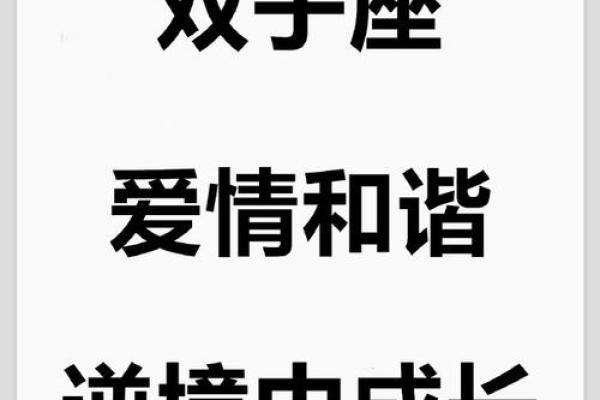 双子座2024事业运程(双子座2022年事业运)