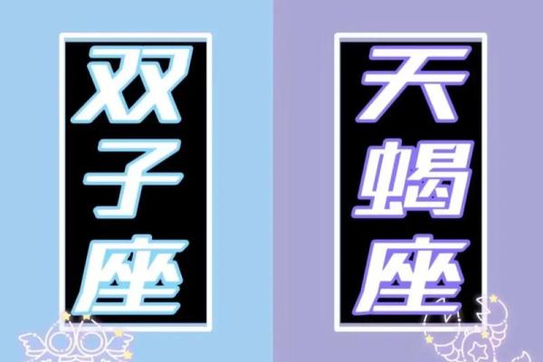 双子座男智商(双子男的智商与情商)