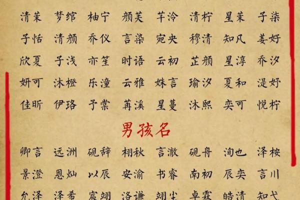秦取名字大全女孩名字(秦的名字什么好听女孩)
