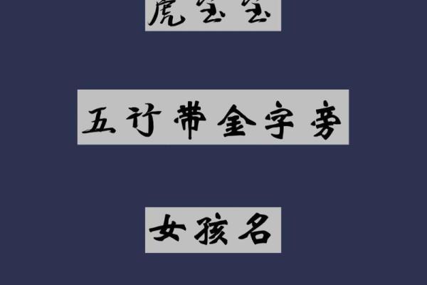 带有金字旁的男孩名字大全(带金字旁的字男孩取名大气磅礴一些)