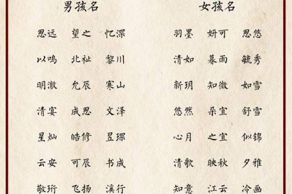 2023兔宝宝取名字大全女孩(2023兔宝宝怎么样)