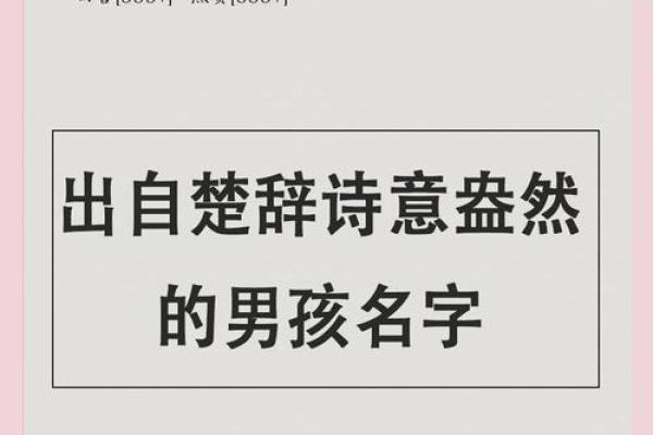 楚辞男孩名字大全集大气文雅(楚辞男孩名字大全集大气文雅一点)