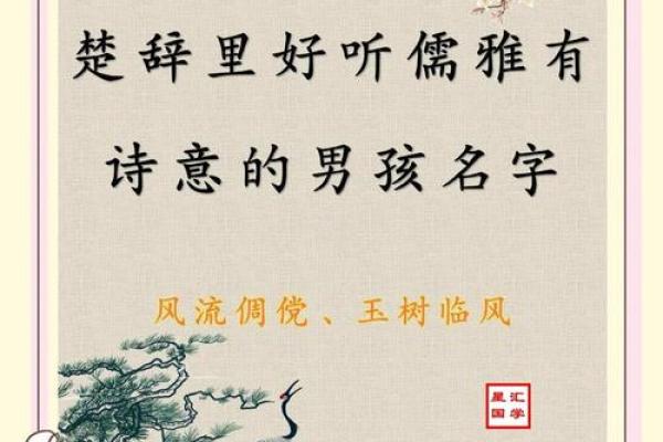 楚辞男孩名字大全集大气文雅(楚辞男孩名字大全集大气文雅一点)
