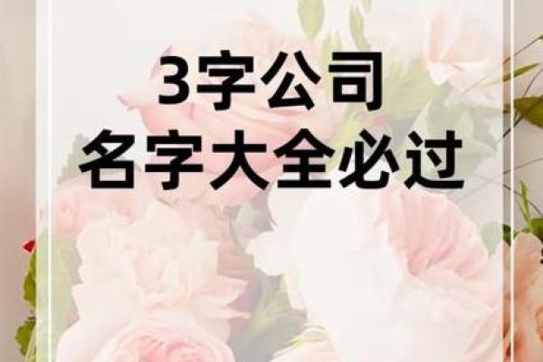 三个字名字公司名称(三个字公司名字大全 必过) 三个字名字公司名称(三个字公司名字大全 必过)