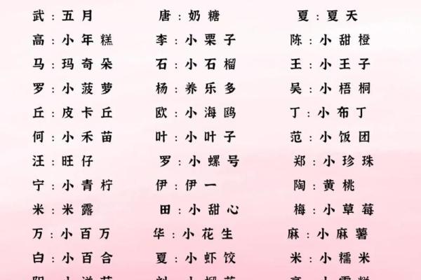 给小男孩取乳名字大全(给小男孩起乳名大全)