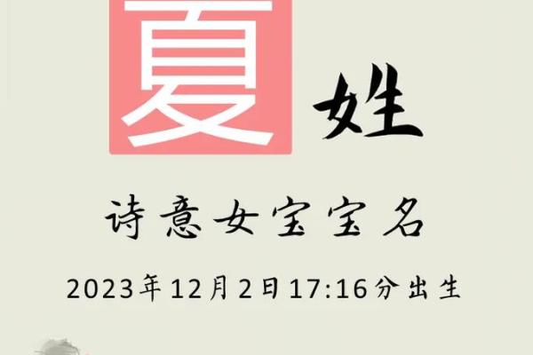 夏姓男孩大气有涵养的名字(夏姓男孩子取名字大全)