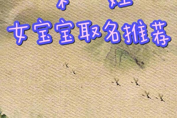 男孩姓宋大气有涵养的名字(男孩子姓宋的名字大全) 男孩姓宋大气有涵养的名字(男孩子姓宋的名字大全)