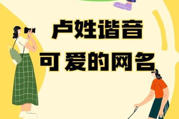 卢姓男孩起名字大全(卢姓男孩起名字大全四个字)