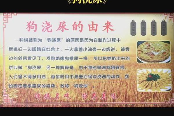 梦到屎(梦到屎尿沾身上什么意思)