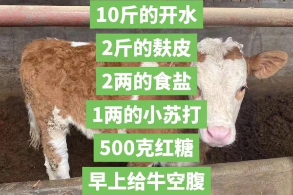 养牛取个公司名字(养牛厂取名) 养牛取个公司名字(养牛厂取名)