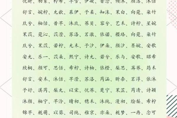段名字女孩名字大全(智慧与涵养的女孩名字姓段)