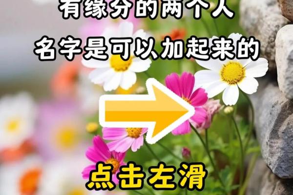 测测你和他的缘分姓名(姓名测试你与他缘分有多深) 测测你和他的缘分姓名(姓名测试你与他缘分有多深)