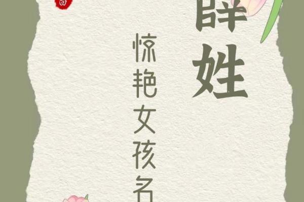 2023年薛姓女孩名字大全(薛姓女孩名字优雅大气)