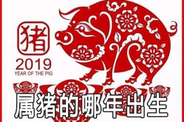 18年腊月属猪结婚吉日(猪年腊月十八出生是什么命) 18年腊月属猪结婚吉日(猪年腊月十八出生是什么命)