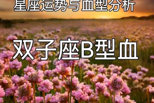 紫微双子座运势(播放双子运势) 紫微双子座运势(播放双子运势)