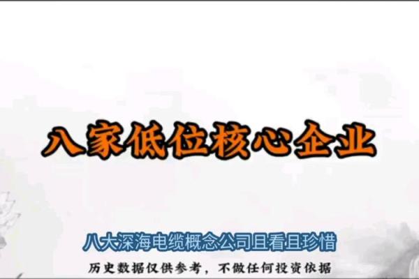 三个字电缆公司起名(三个字电缆公司起名字)