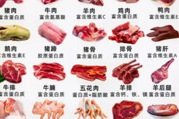 肉类食品公司名字大全(肉类食品公司名字大全图片)