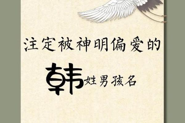 韩姓名字大全女孩名字(韩姓起名简单大气女孩)