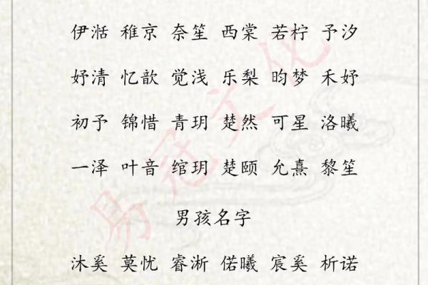 今年男孩起名名字大全(今年的男孩儿名字大全)
