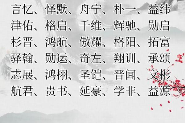 今年男孩起名名字大全(今年的男孩儿名字大全)