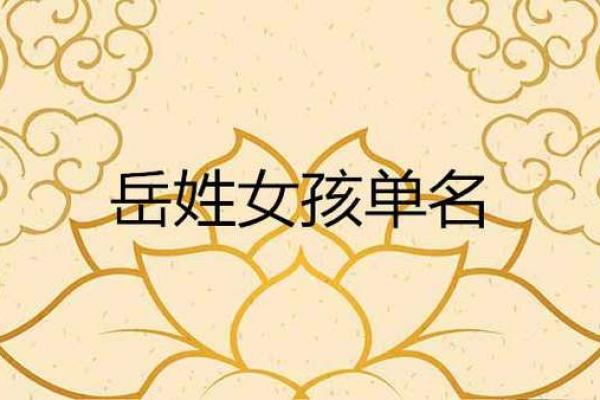 岳姓女孩起名高端大气(岳姓女孩起名高端大气一个字的名字)