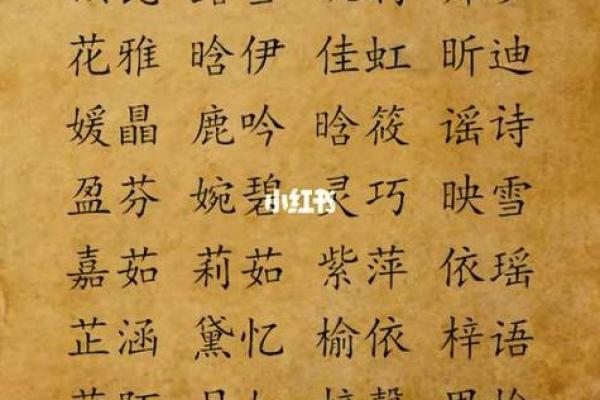 禾字旁最吉利的名字女孩(禾字旁最吉利的名字女孩子)