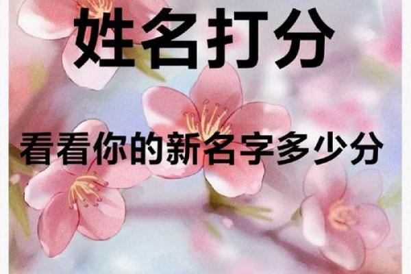 免费测姓名多少分(免费测试姓名打多少分卜易居)