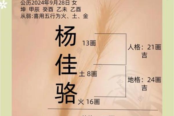 好听的杨姓男孩名字大全(好听的杨姓男孩名字大全文库)