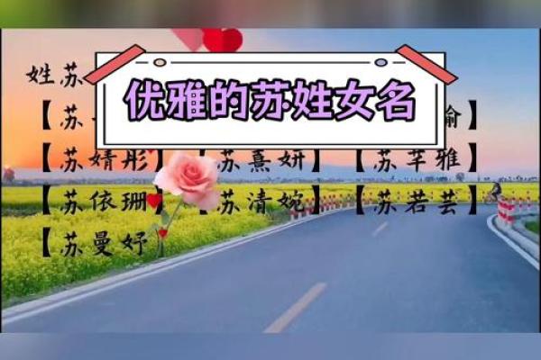 苏女孩名字三个字(姓苏的女孩名字优雅时尚(三个字)) 苏女孩名字三个字(姓苏的女孩名字优雅时尚(三个字))